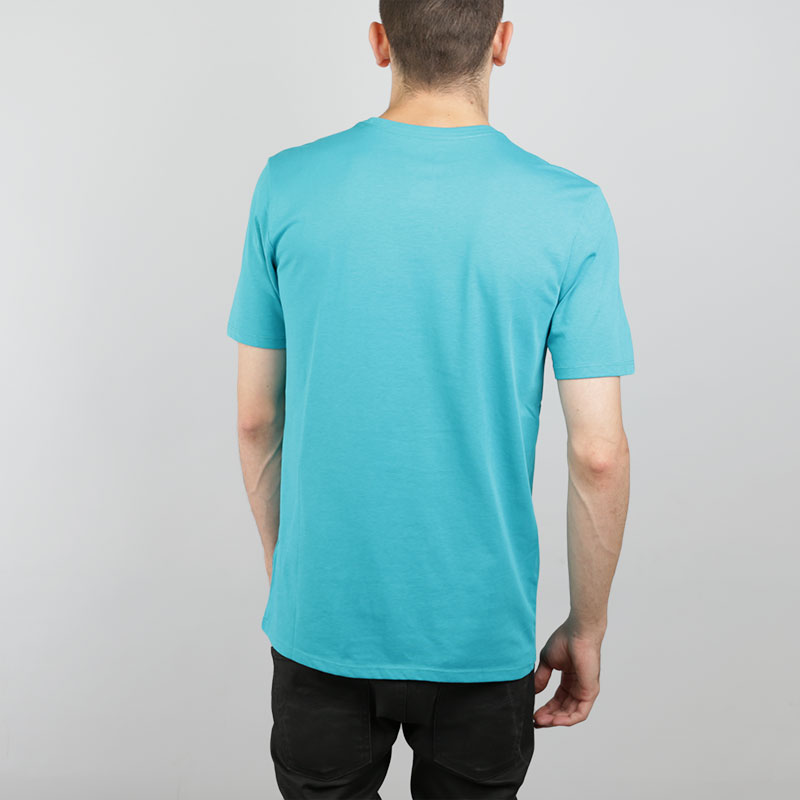 Мужская футболка Jordan Charlotte Hornets Dry Logo (870494-428)  - цена, описание, фото 4
