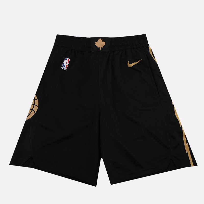 

Шорты Nike, Черный, Raptors City Edition NBA Swingman Shorts