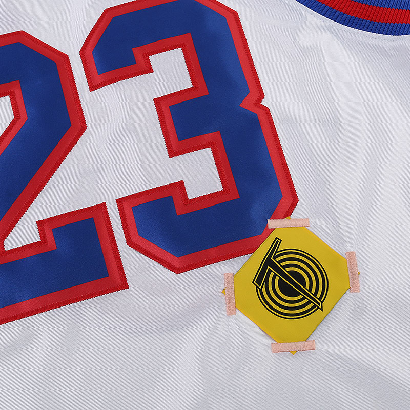 lebron x tune squad dna jersey