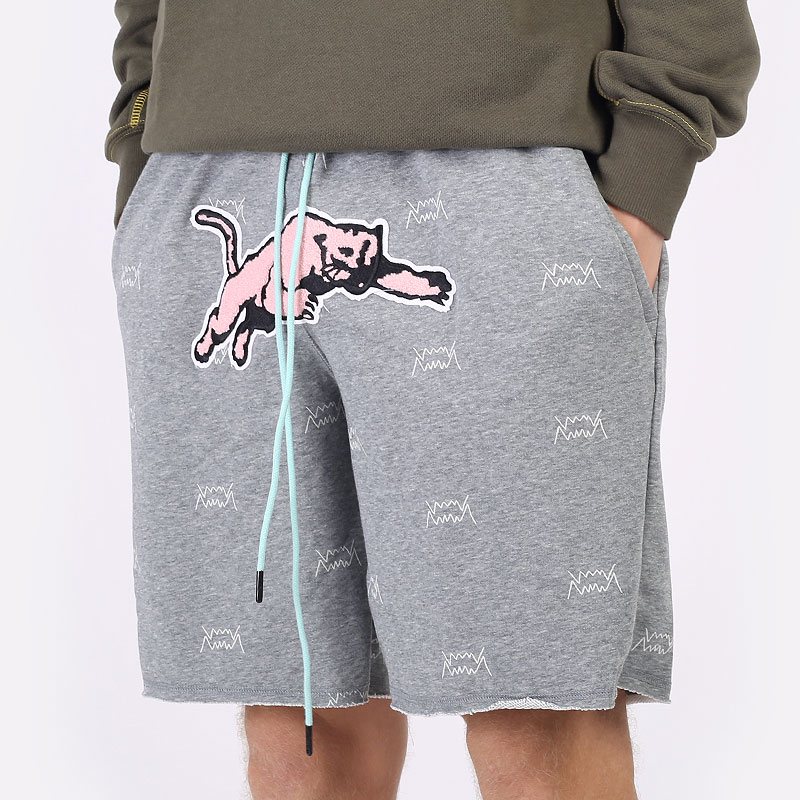 Мужские шорты PUMA Blue Chip Short (53209901)  - цена, описание, фото 1