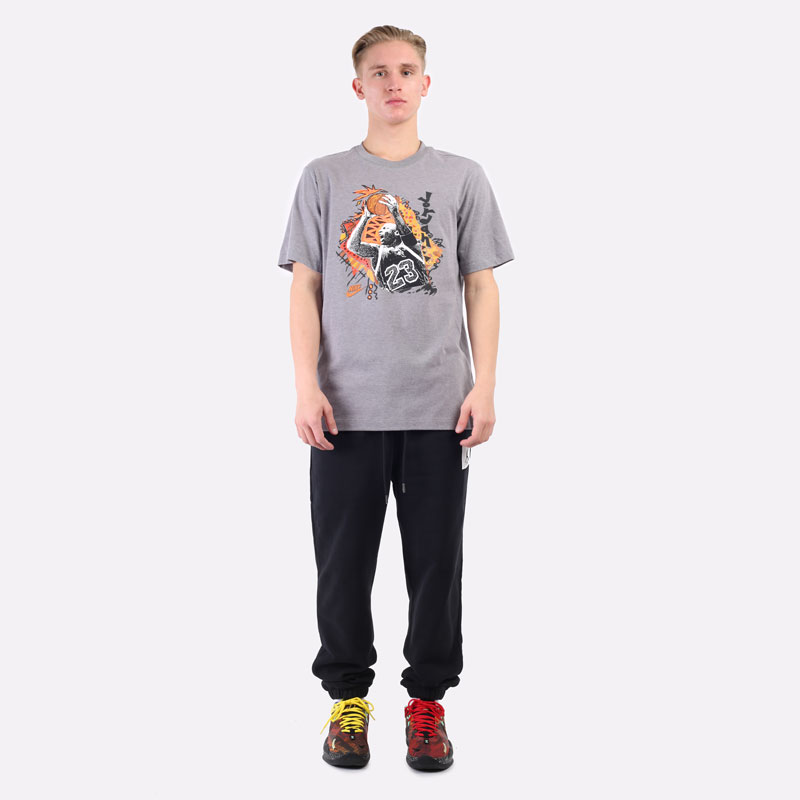 Мужская футболка Jordan Vintage Graphic T-Shirt (DM3221-091)  - цена, описание, фото 5