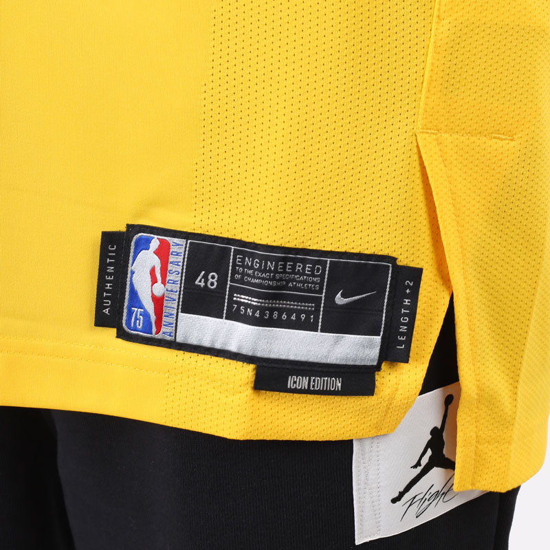 мужская желтая майка Nike Los Angeles Lakers Icon Edition Nike Dri-FIT ADV NBA Jersey DB3317-730 - цена, описание, фото 5