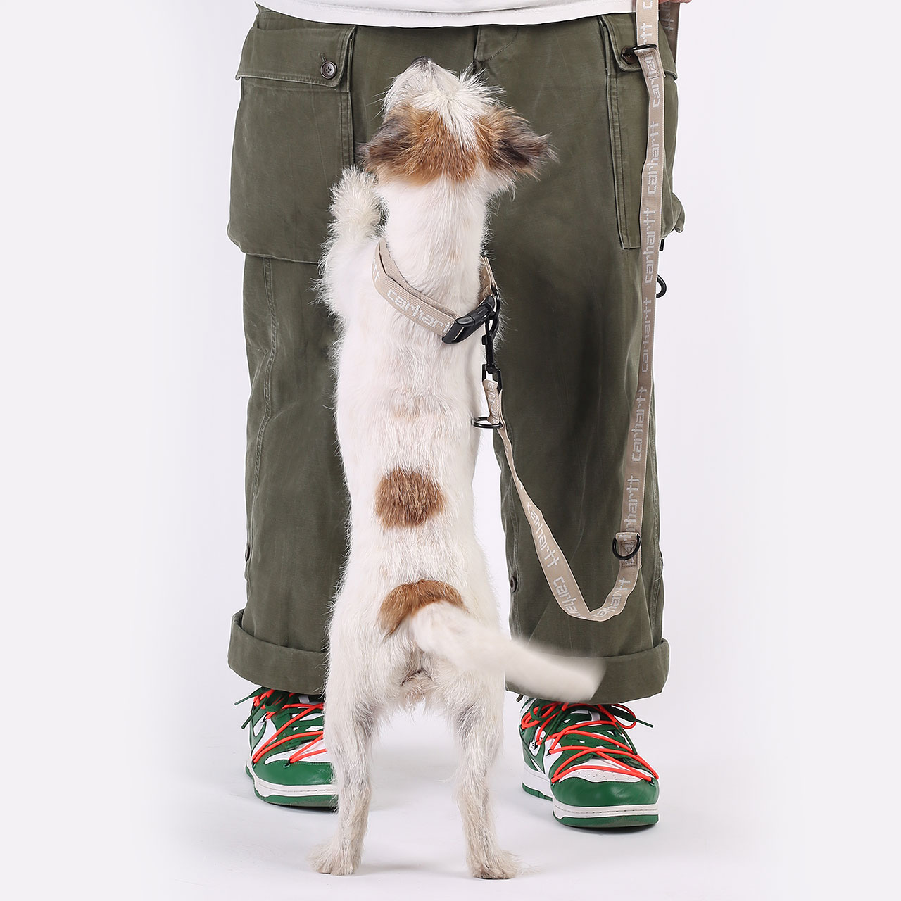  бежевый ошейник, поводок Carhartt WIP Script Dog Leash&Collar I030251-wall/wax - цена, описание, фото 4