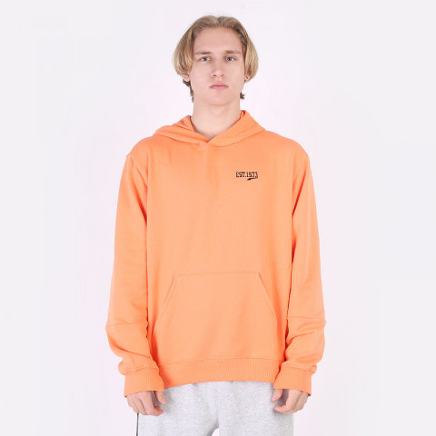 мужская толстовка PUMA Baseline Hoodie  