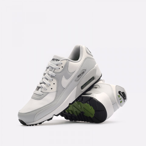 мужские кроссовки Nike Air Max 90 GTX – фото для каталога