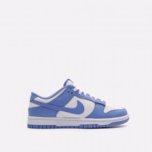 Мужские кроссовки Nike Dunk Low Retro (DV0833-400_)