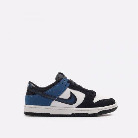 мужские кроссовки Nike Dunk Low Retro NAS  