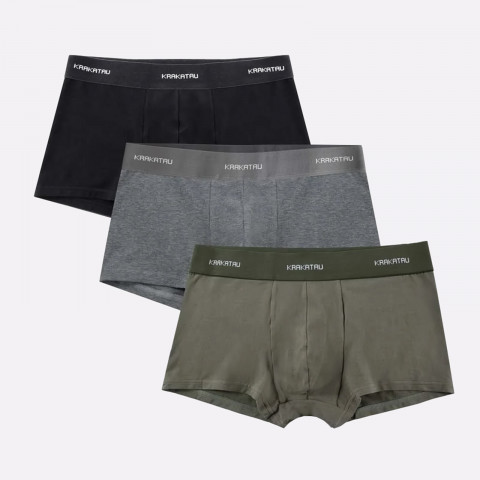 трусы (3 пары) KRAKATAU Hm48-110  