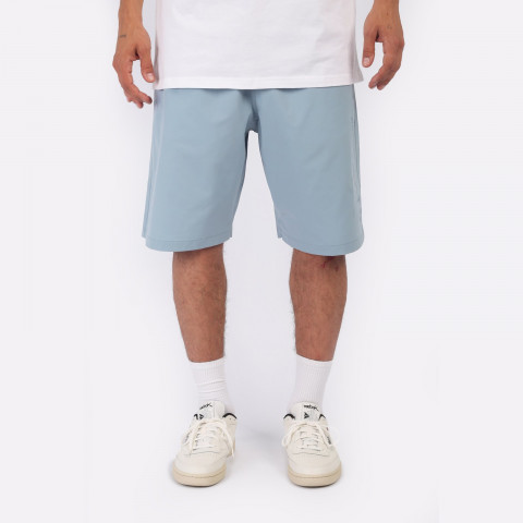 мужские шорты Carhartt WIP Brame Swim Trunks  