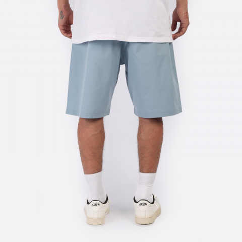 мужские шорты Carhartt WIP Brame Swim Trunks – фото для каталога