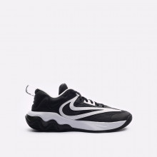 Мужские баскетбольные кроссовки Nike Giannis Immortality 3 (DZ7533-003)
