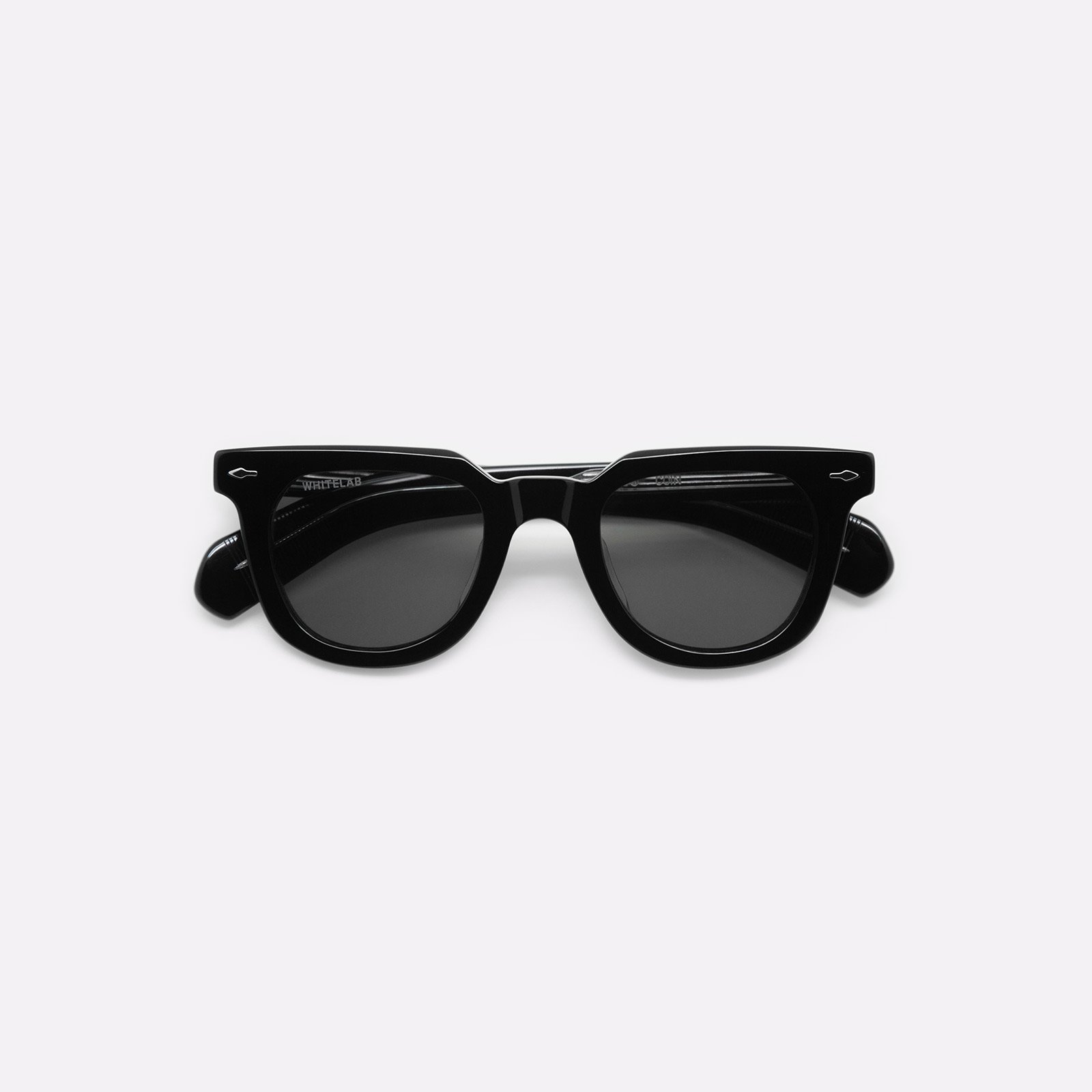 Солнцезащитные очки WHITELAB Coin (Coin Black/Black)  - цена, описание, фото 1