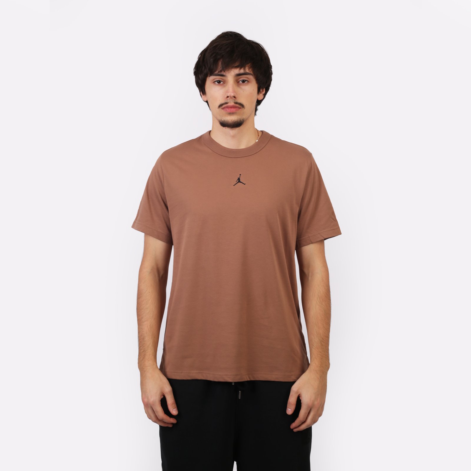 Мужская футболка Jordan Sport T-Shirt (FN5829-223)  - цена, описание, фото 2