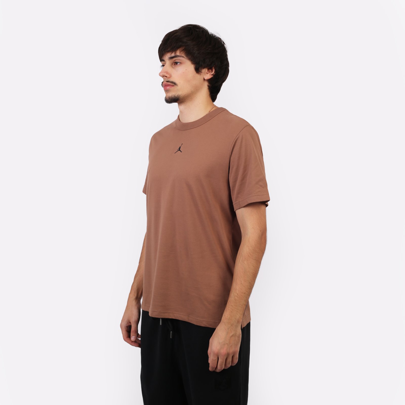 Мужская футболка Jordan Sport T-Shirt (FN5829-223)  - цена, описание, фото 4
