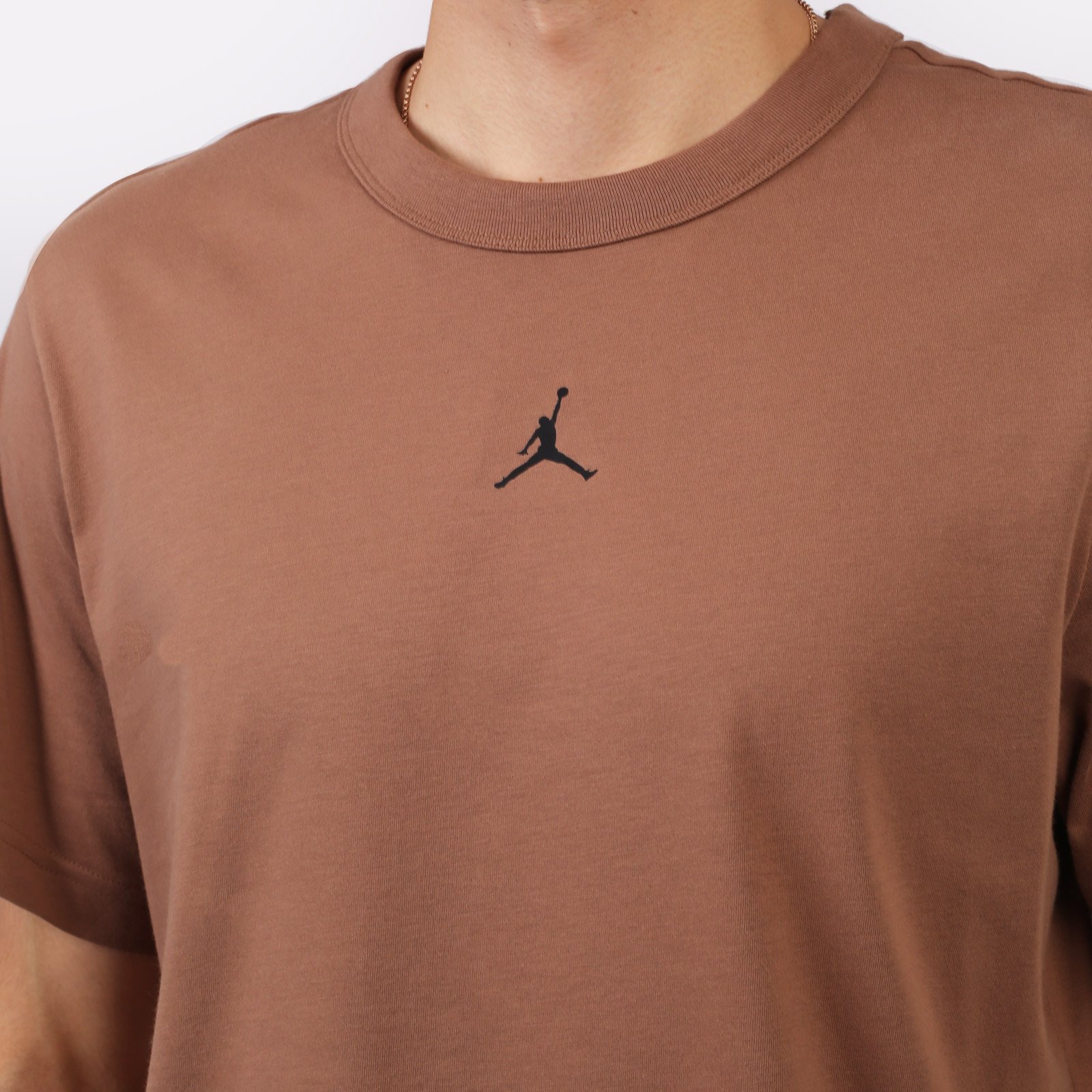 Мужская футболка Jordan Sport T-Shirt (FN5829-223)  - цена, описание, фото 5
