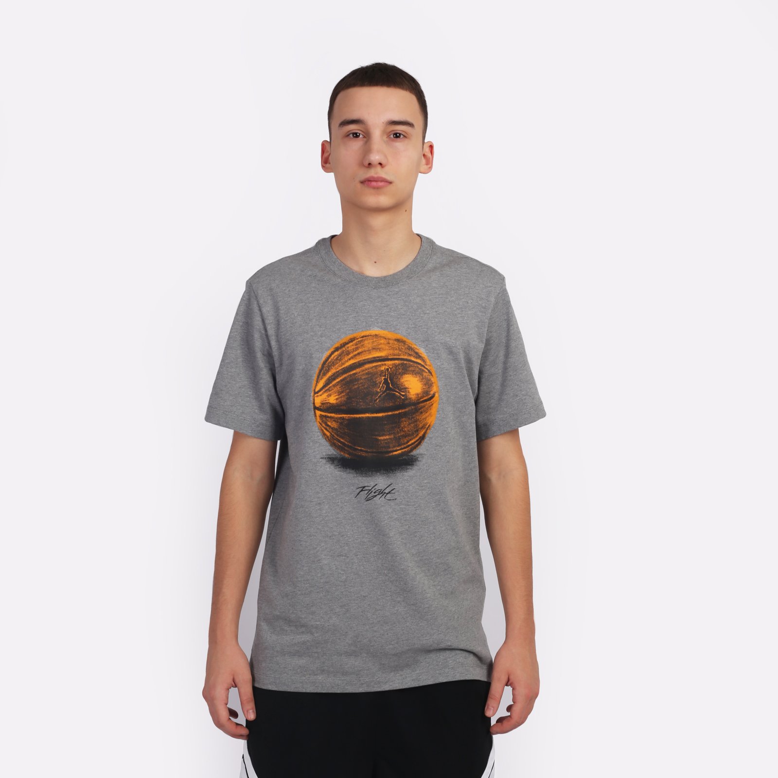 Мужская футболка Jordan T-Shirt (FZ1993-091)  - цена, описание, фото 1