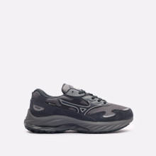 Мужские кроссовки Mizuno Wave Rider B GTX (D1GA245202)