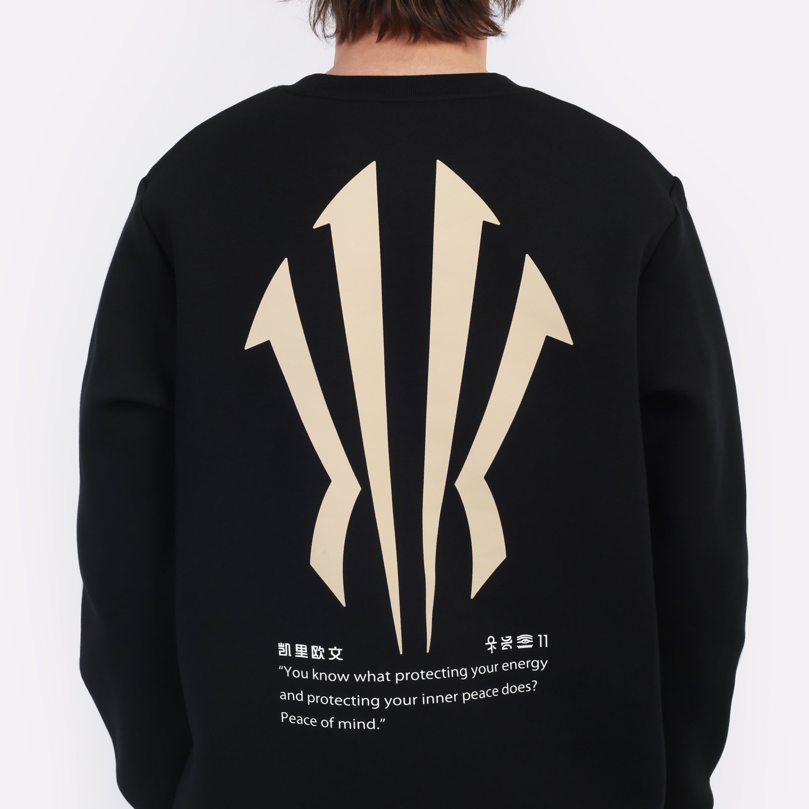 Мужская толстовка ANTA Sweatshirt (872511715-4)  - цена, описание, фото 4