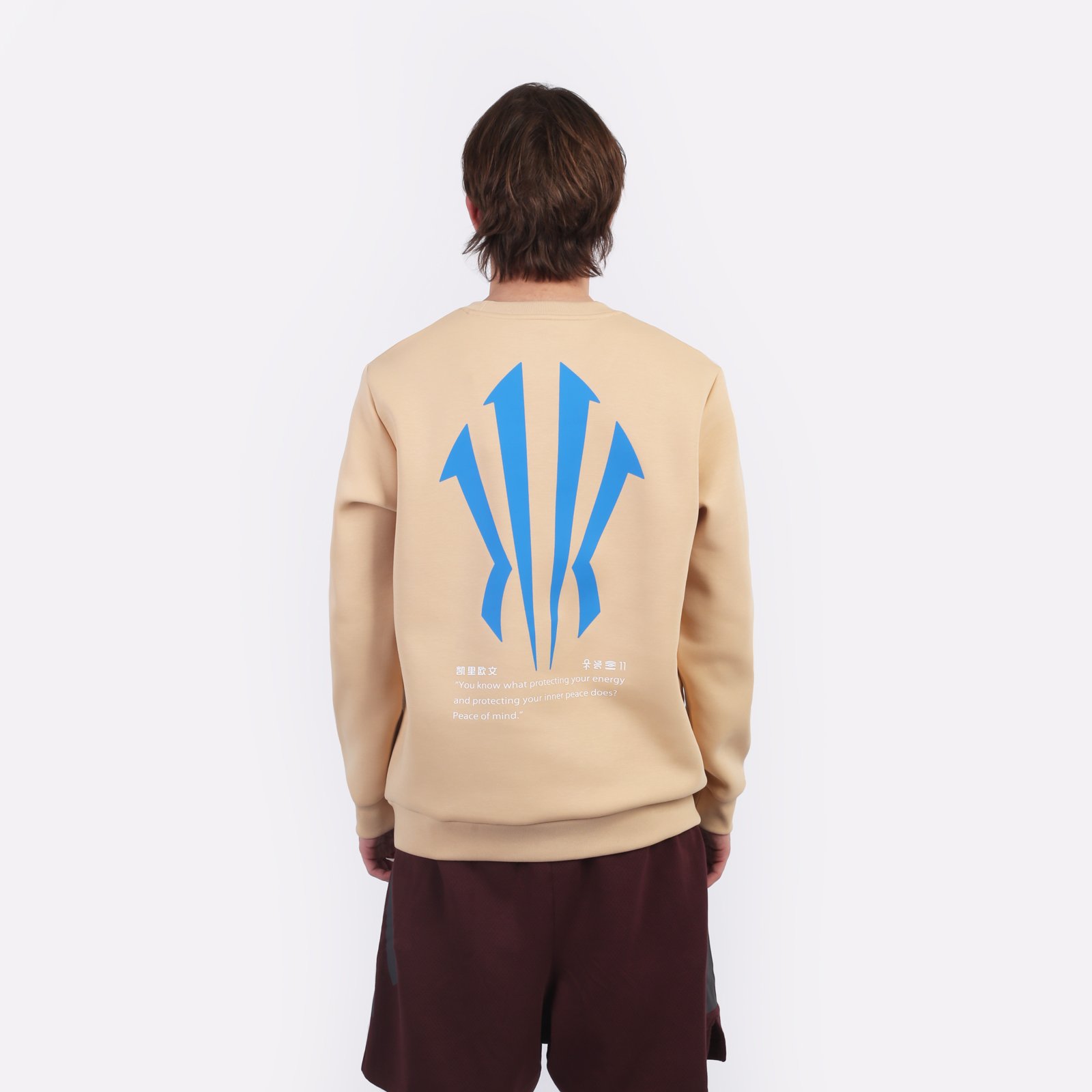 Мужская толстовка ANTA Sweatshirt (872511715-1)  - цена, описание, фото 2