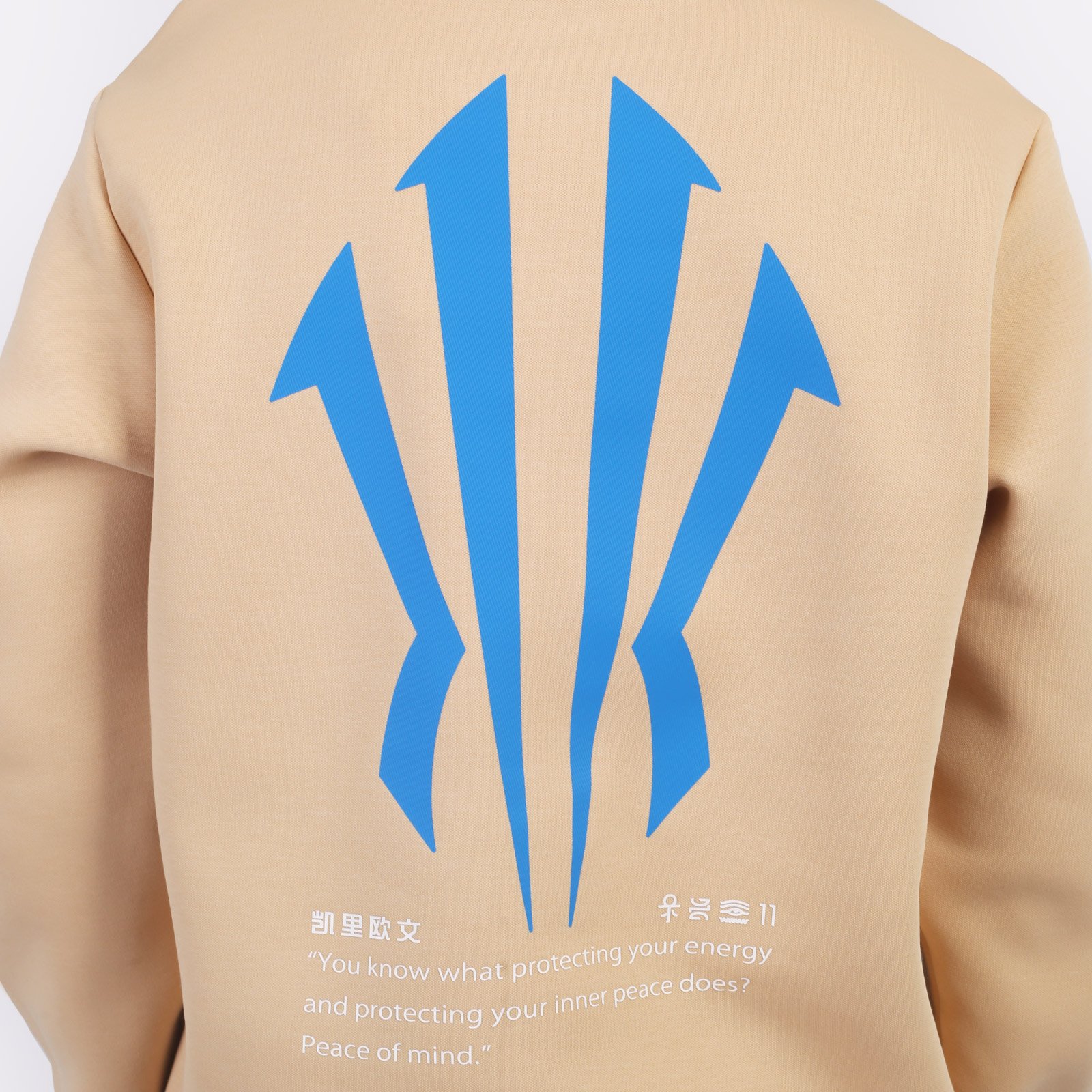 Мужская толстовка ANTA Sweatshirt (872511715-1)  - цена, описание, фото 4