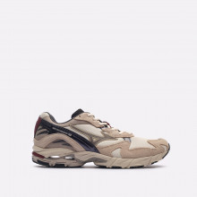 Мужские кроссовки Mizuno Wave Rider 10 (D1GA247301)