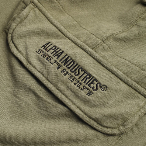 мужские шорты Alpha Industries Terry Dyed Short – фото для каталога