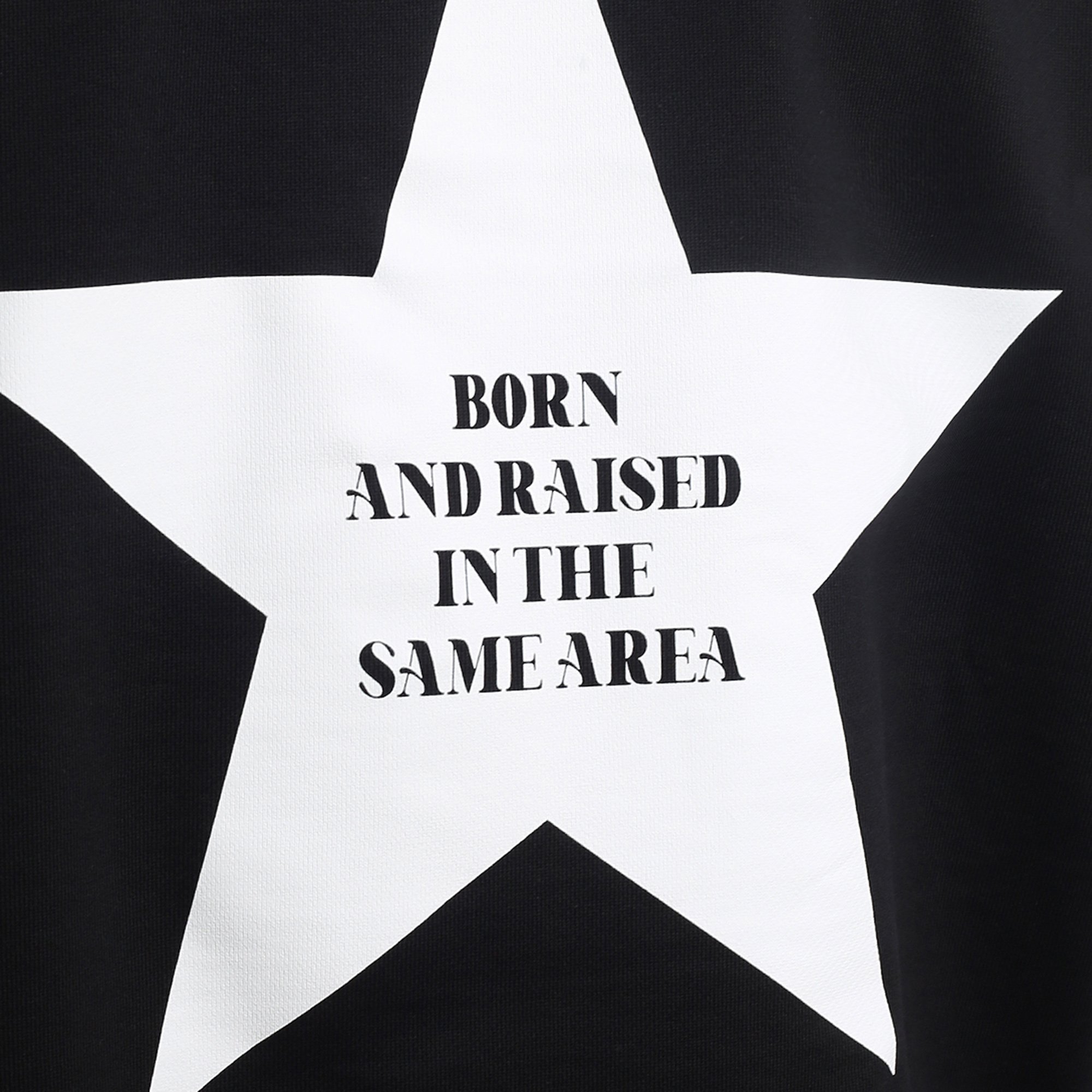 Мужская толстовка Appetite High Mark Born'n'Raised (Born/Raised black-washed)  - цена, описание, фото 9