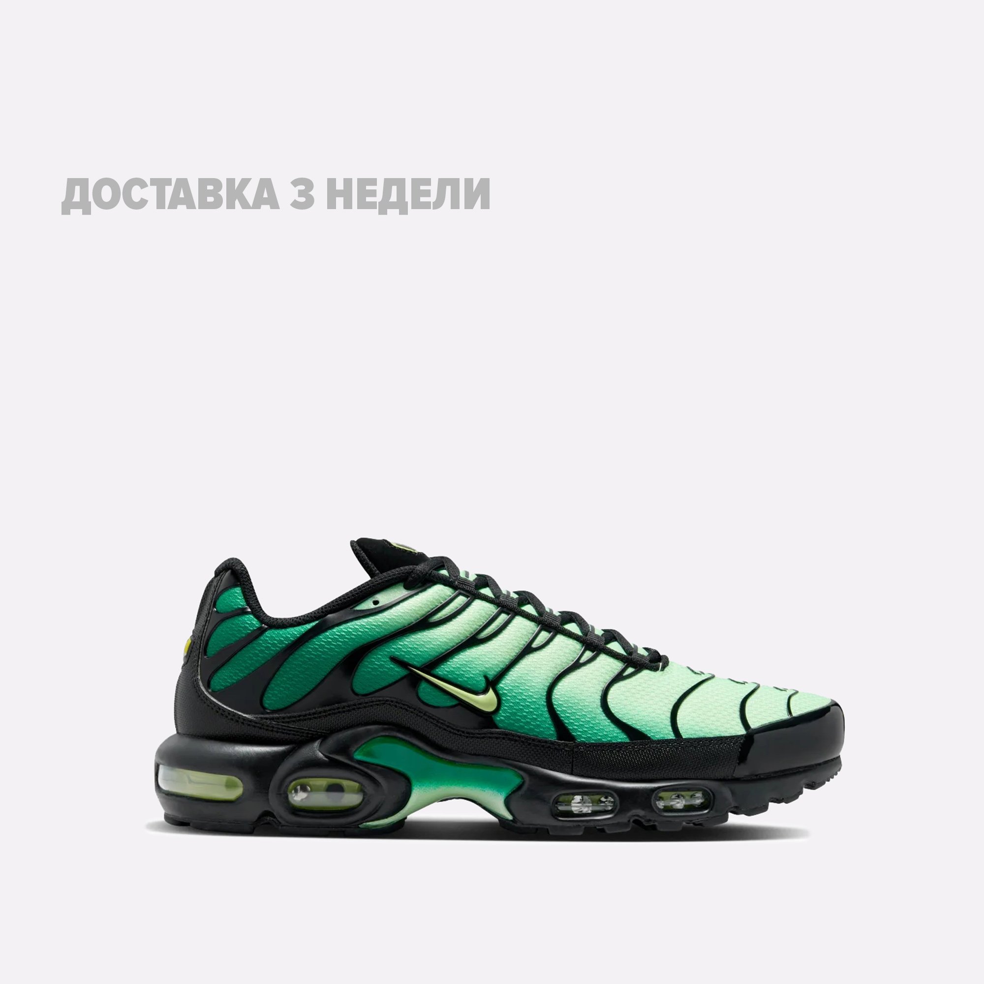Мужские кроссовки Nike Air Max Plus (DM0032-301)  - цена, описание, фото 1
