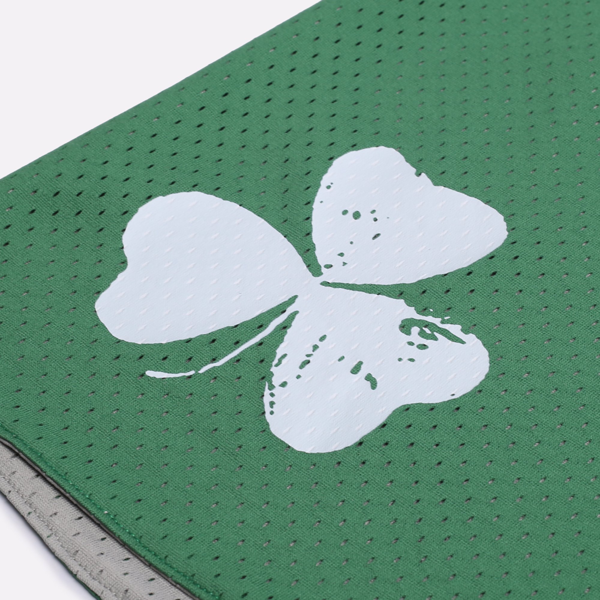 Мужские шорты Hard NBA Team Reversible Shorts (NBAteam33-green-gray)  - цена, описание, фото 3