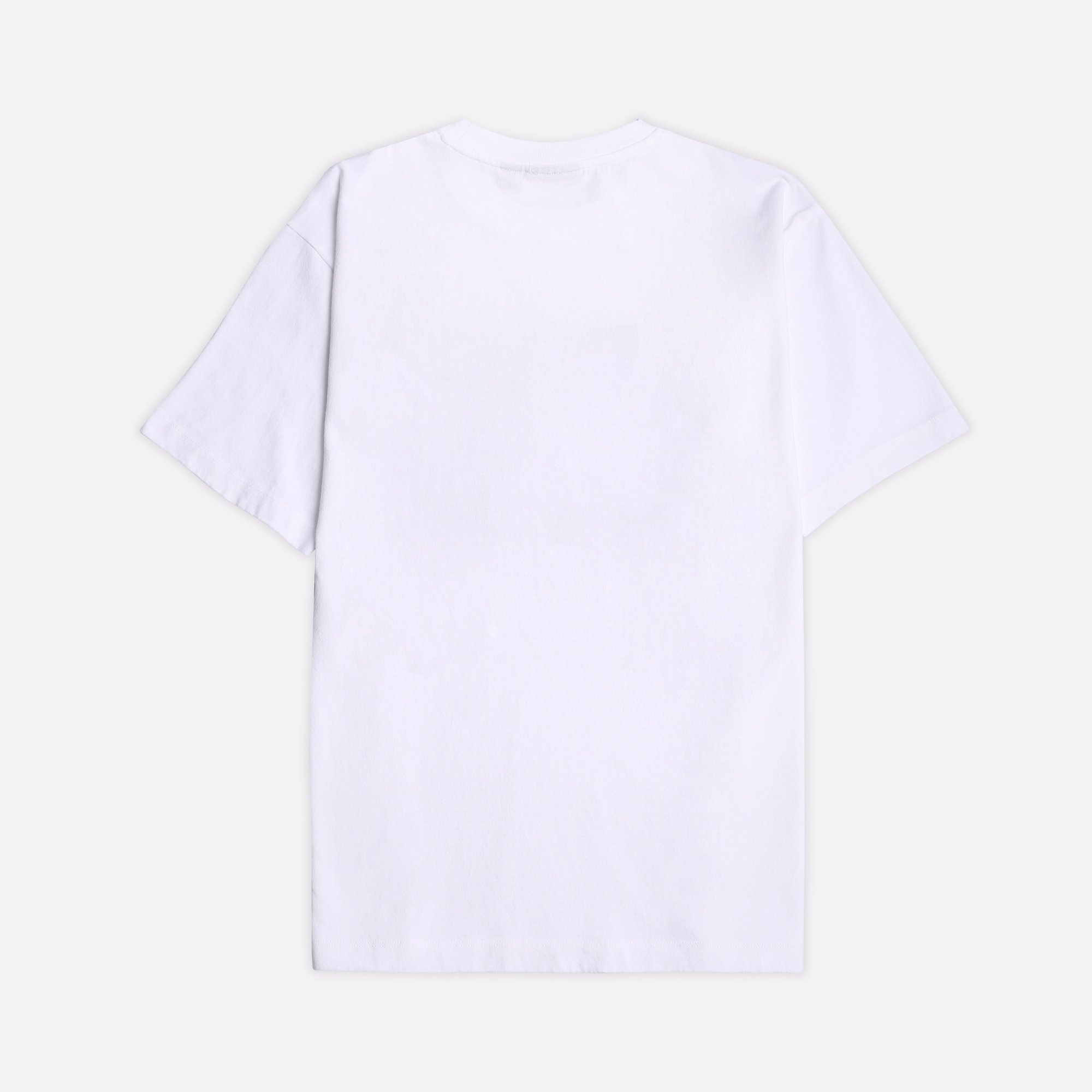 Мужская футболка By Parra No Books T-shirt (54105-WHITE)  - цена, описание, фото 2