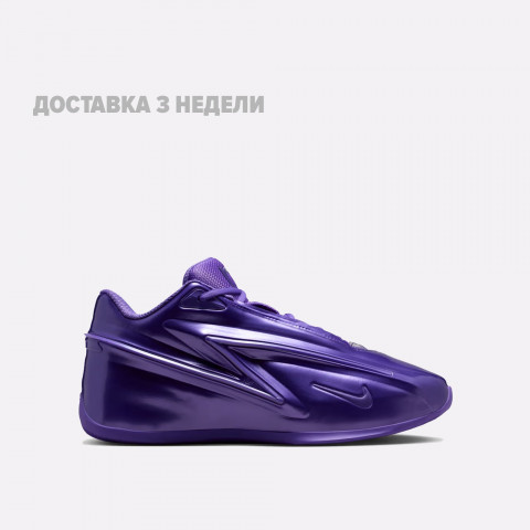 мужские кроссовки Nike KD 19 EP  