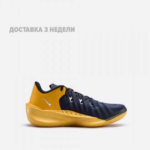 мужские кроссовки Nike GT Cut 4 EP  