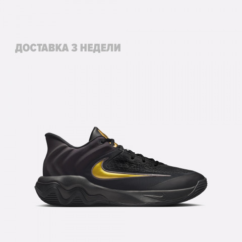 мужские кроссовки Nike Giannis Immortality 4  
